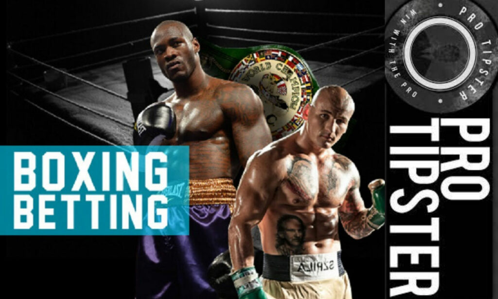 Pro tipster is one of the leading websites in terms of boxing betting